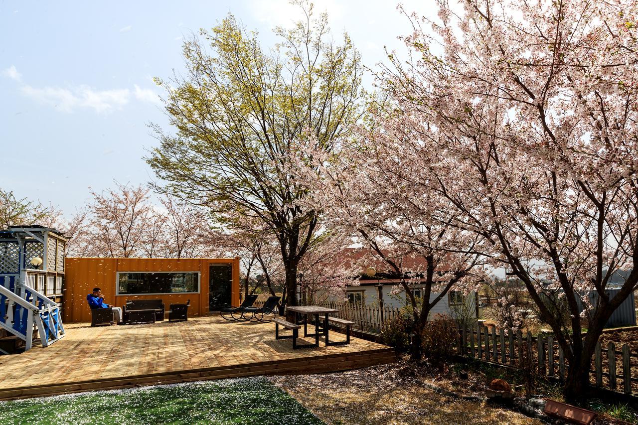 גייאונגג'ו Polaris Tourist Pension מראה חיצוני תמונה